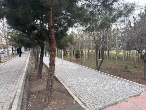عکس فضای سبز