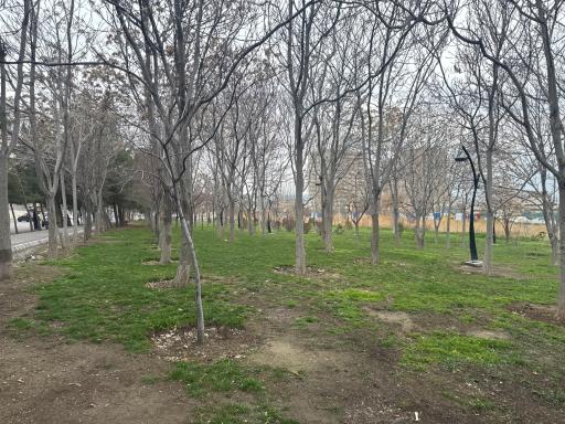 عکس فضای سبز
