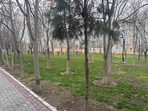 عکس فضای سبز