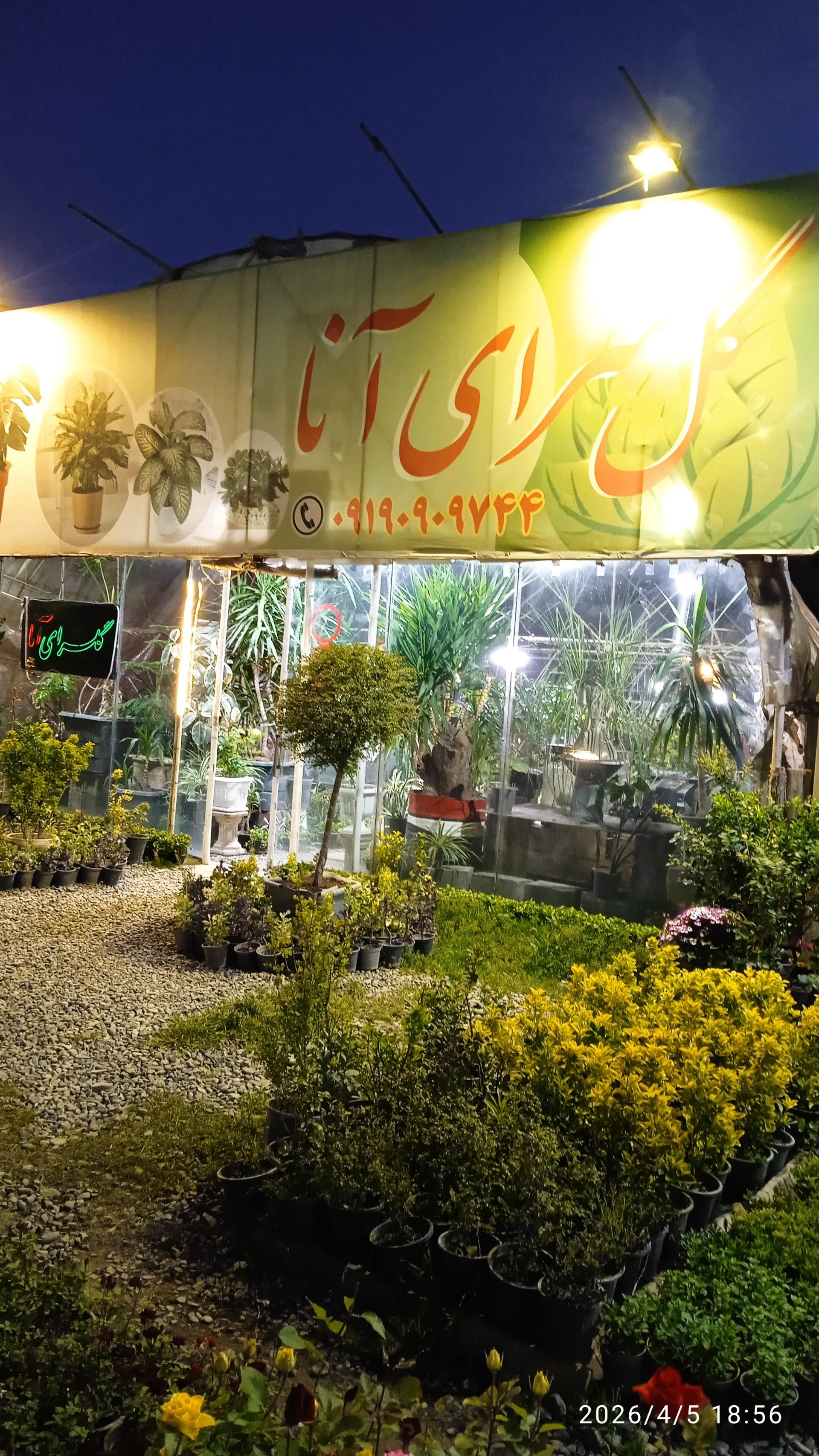 عکس گلسرای آنا