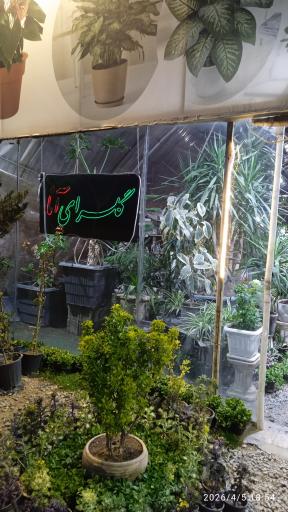 عکس گلسرای آنا