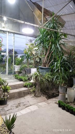عکس گلسرای آنا