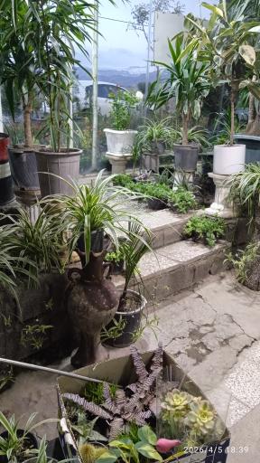 عکس گلسرای آنا