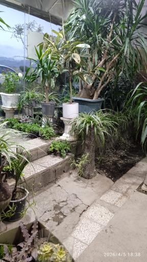 عکس گلسرای آنا