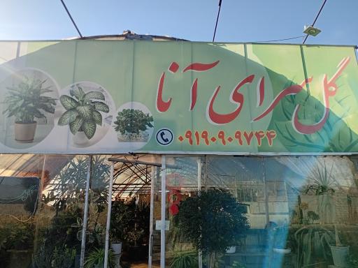 عکس گل سرای آنا