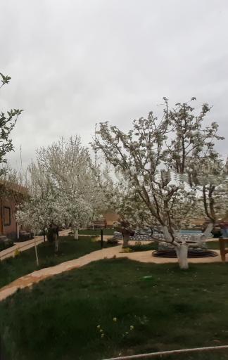 عکس مجموعه پذیرایی اقامتگاهی نصر رادکان