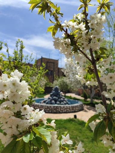 عکس مجموعه پذیرایی اقامتگاهی نصر رادکان