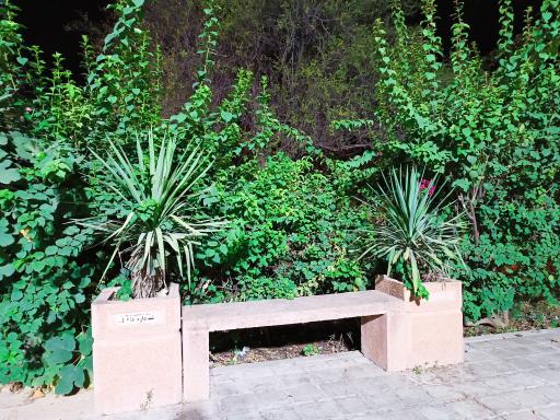 عکس بوستان شهردخت