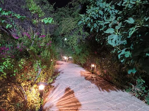 عکس بوستان شهردخت