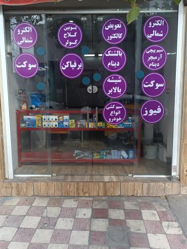 عکس الکترو شمالی
