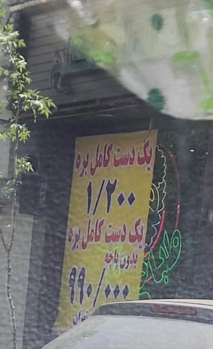 عکس طباخی کاج