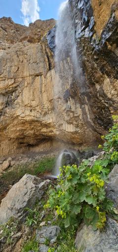 عکس آبشار خور