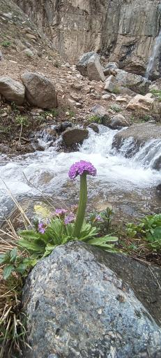 عکس آبشار خور