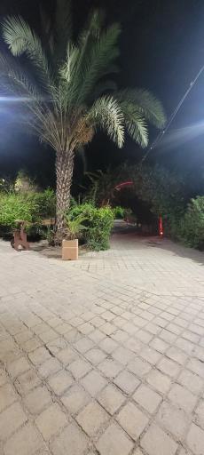 عکس بوستان شهردخت