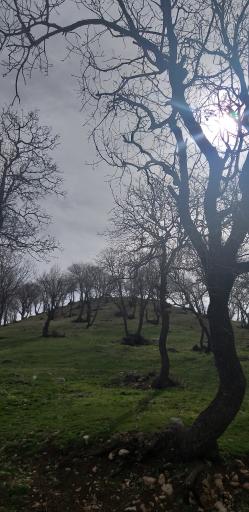 عکس سرپل ذهاب