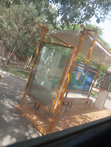 عکس لقمان حکیم