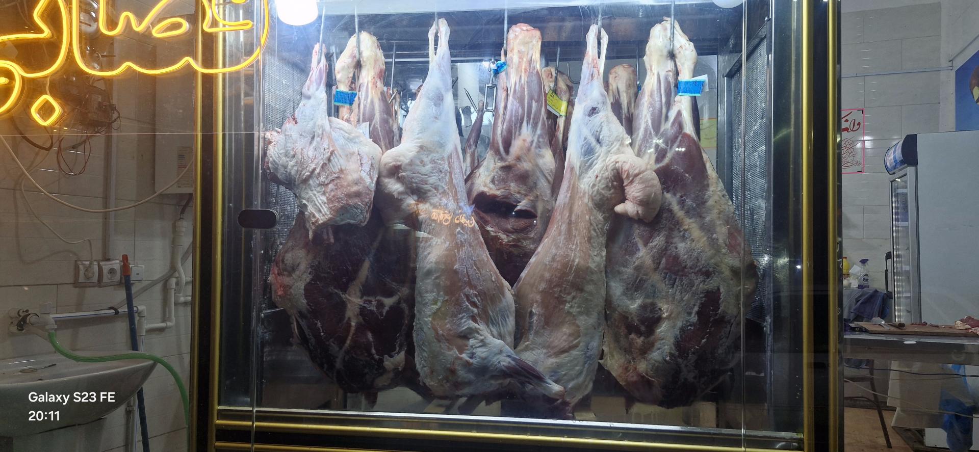 عکس قصابی ماسال شکوری