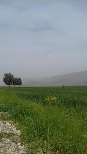 عکس سرپل ذهاب