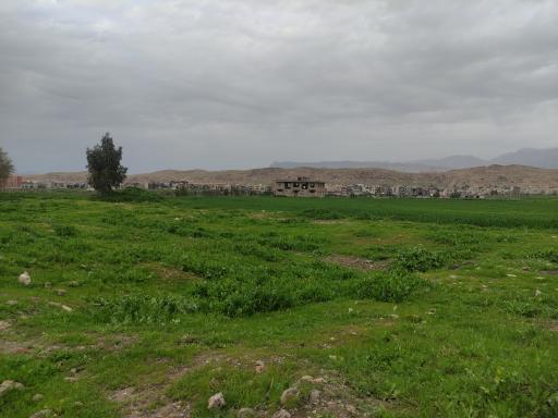 عکس سرپل ذهاب