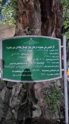 عکس پارک جنگلی باباامان