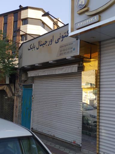 عکس کتونی اورجینال بابک