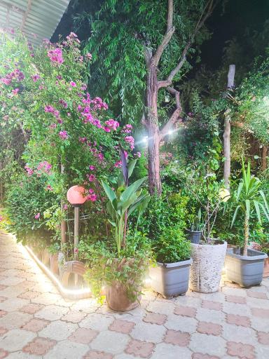 عکس کافه رستوران میثم