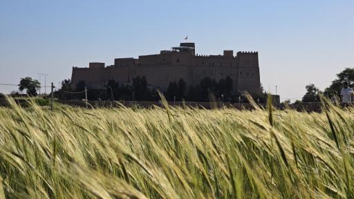 عکس تپه‌های باستانی شوش