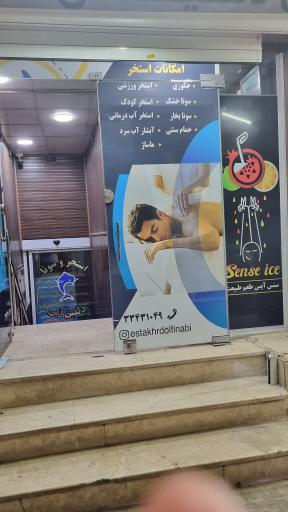 عکس مجموعه ورزشی دلفین آبی