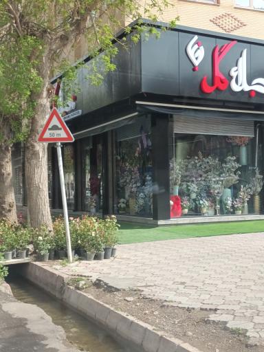 عکس نجلاء گل
