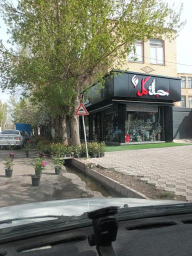 عکس نجلاء گل
