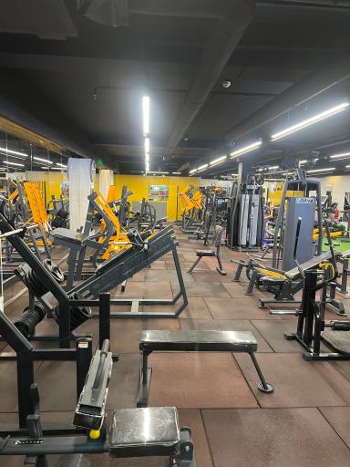 عکس باشگاه بدنسازی و بوکس مدال آوران