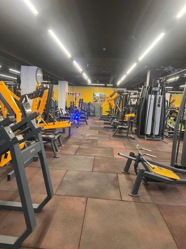 عکس باشگاه بدنسازی و بوکس مدال آوران