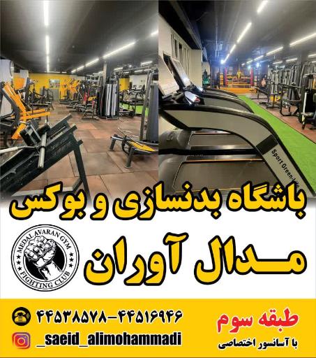 عکس باشگاه بدنسازی و بوکس مدال آوران