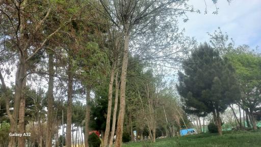 عکس فلکه فرودگاه 