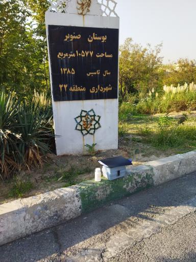 عکس بوستان صنوبر