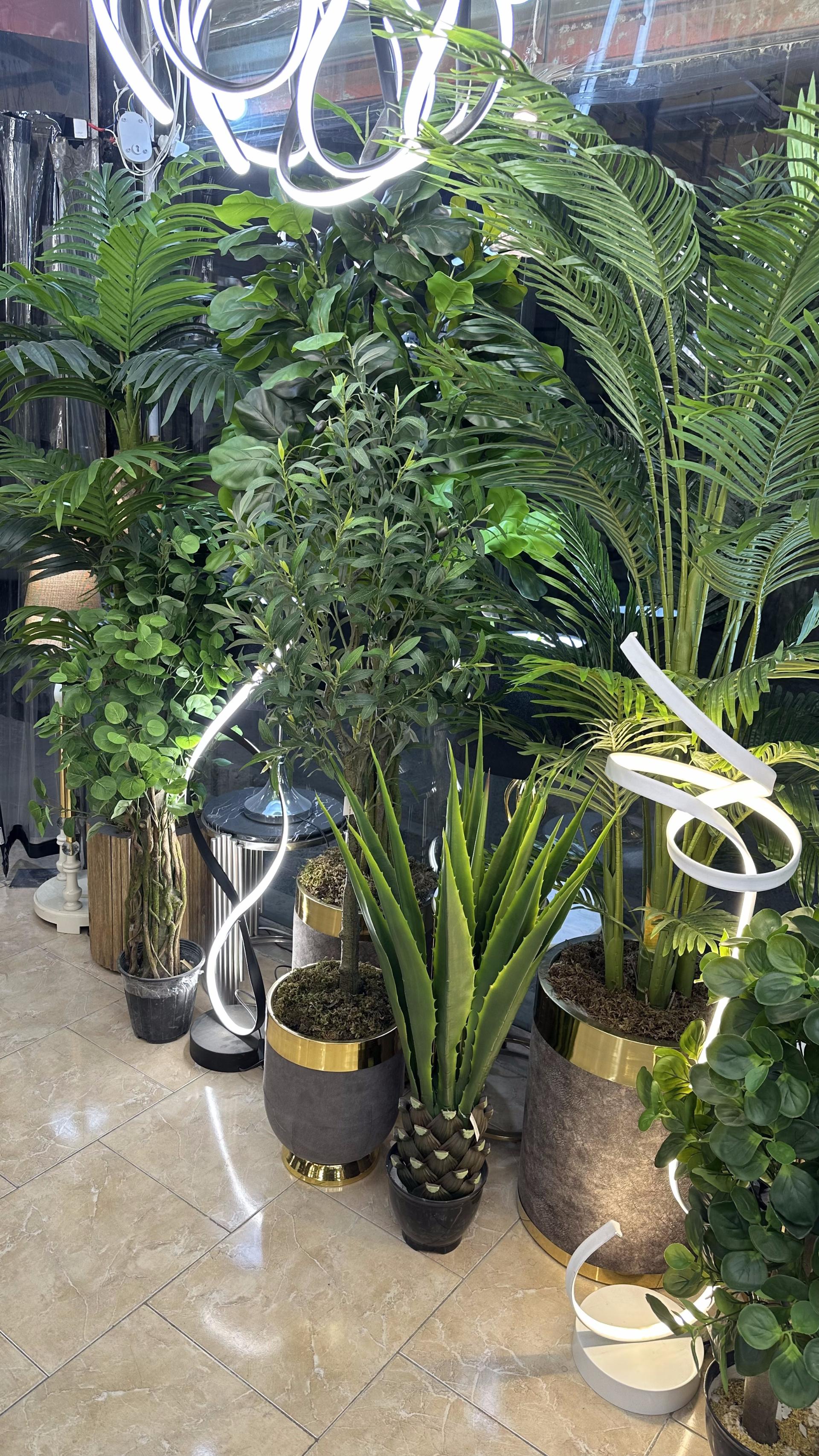 عکس گالری زرین