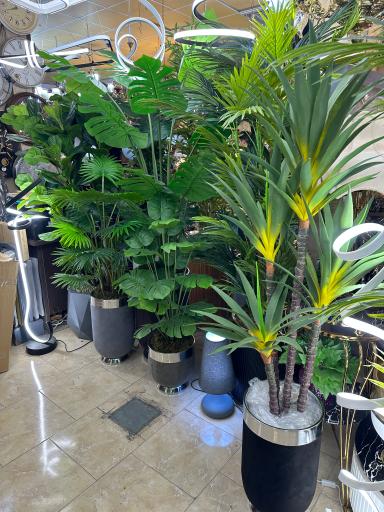 عکس گالری زرین