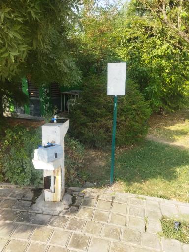 عکس بوستان صنوبر