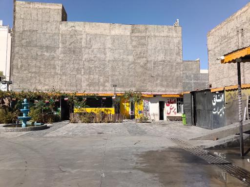 عکس مستر کارواش