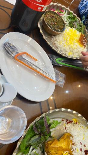 عکس رستوران آریا تین