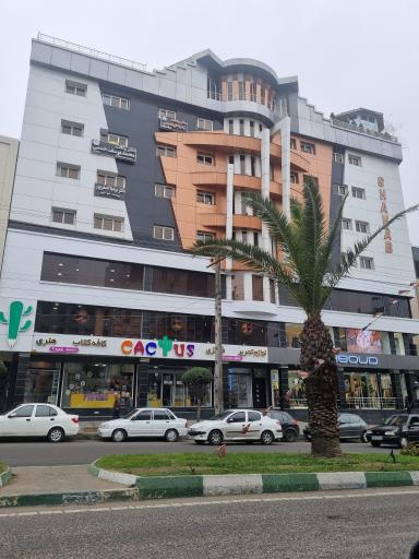 عکس لوازم تحریر کاکتوس