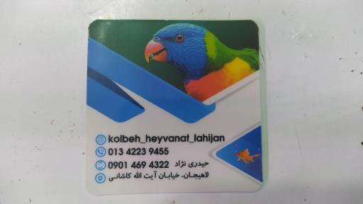 عکس آکواریوم (کلبه حیوانات)