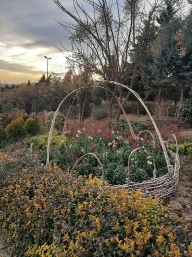 عکس پارک هما