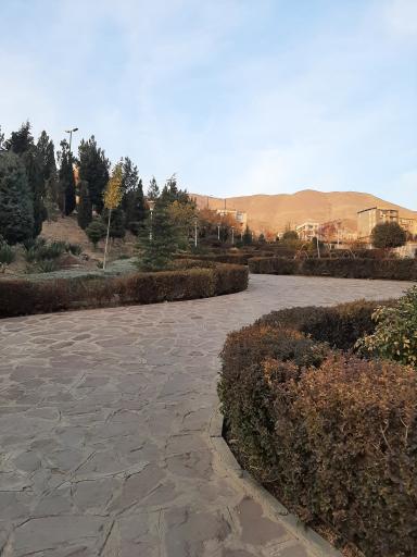 عکس پارک هما