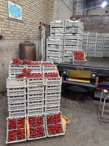 عکس بارفروشی حاج اسماعیل نیساری