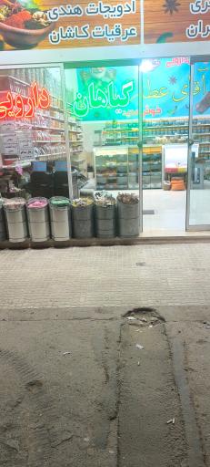 عکس گیاهان دارویی آقای عطار