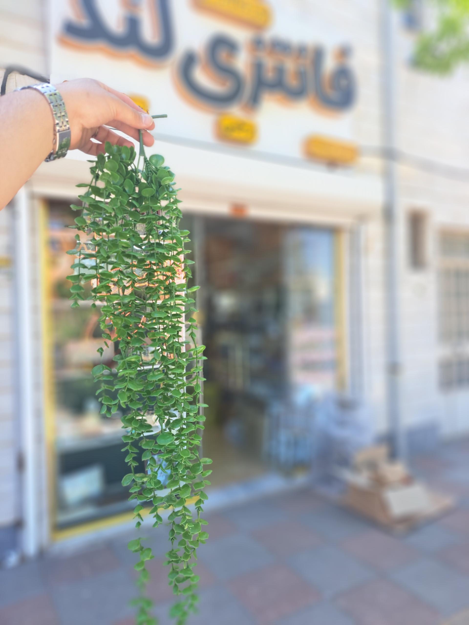 عکس فانتزی لند رجبی