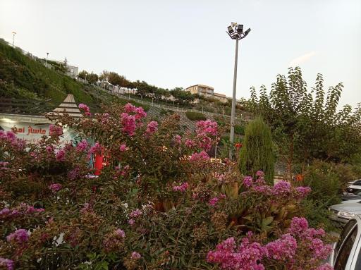 عکس پارک هما