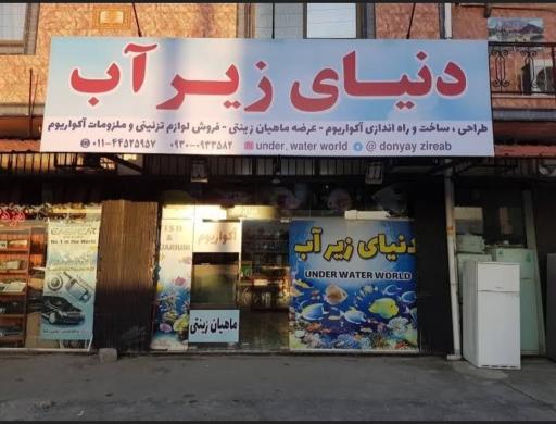 عکس فروشگاه آکواریوم دنیای زیر آب