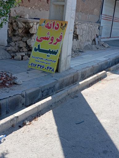 عکس دانه فروشی سید